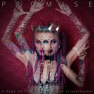 Seas On The Moon : Promise
